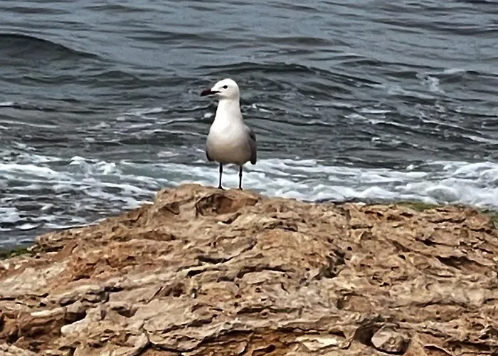 Casa Helena Vakantiehuis Torrevieja